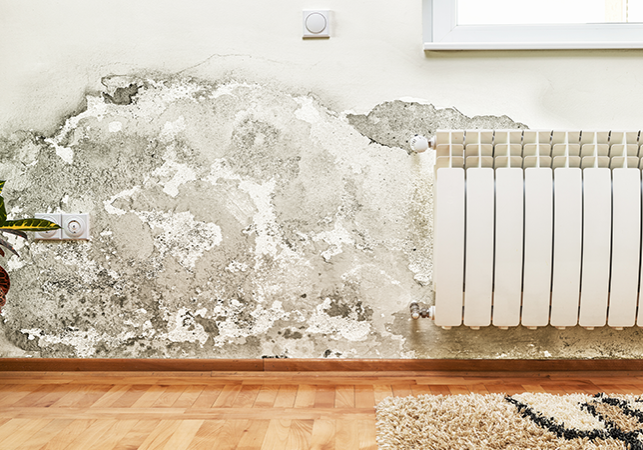 damp-proofing-rotherham